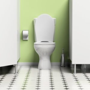 Water closet with open door and white toilet bowl. 3d illustration